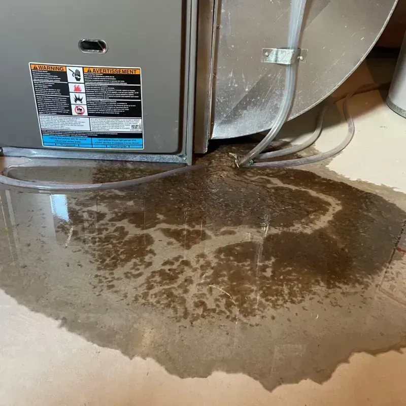 Appliance Leak Cleanup in South Hill, WA